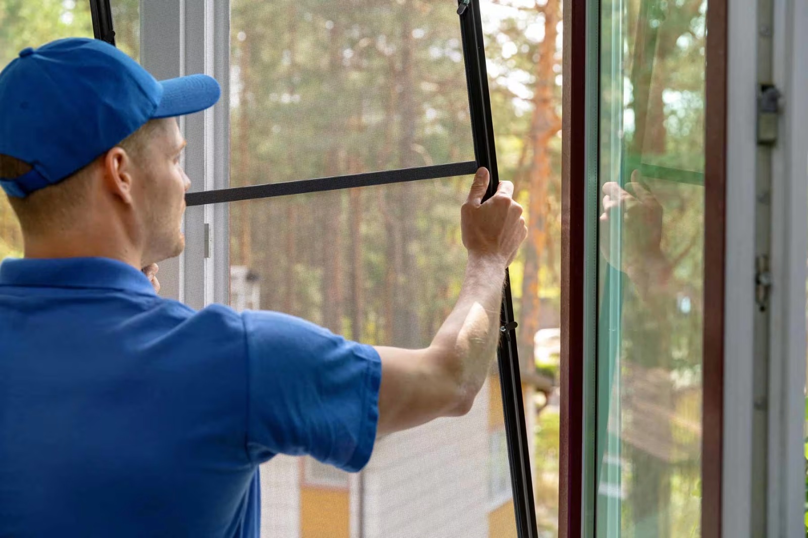Window Replacement
