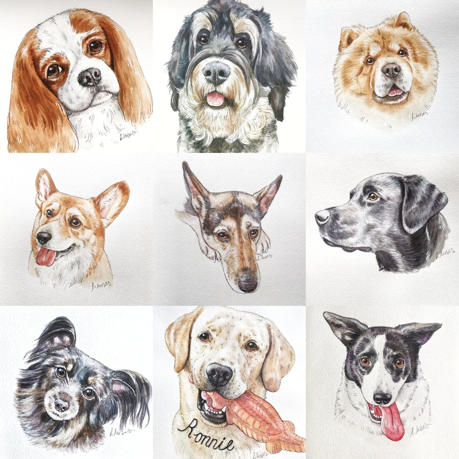8 Beautiful Pet Portraits That Add Joy to Any Room