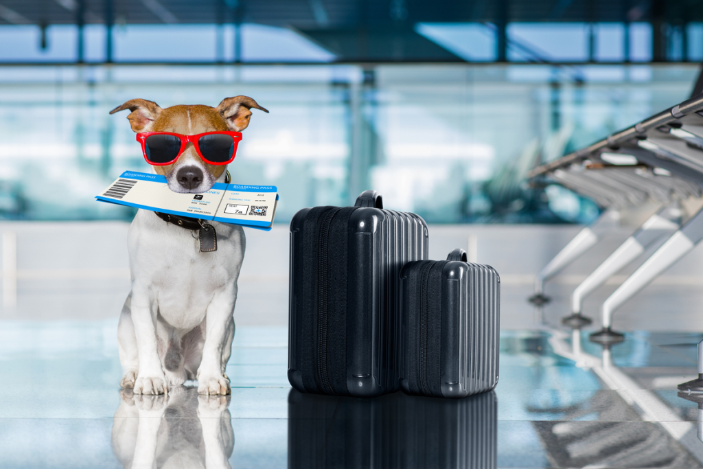 Trusted Pet Travel Compliance for Veterinary Practices
