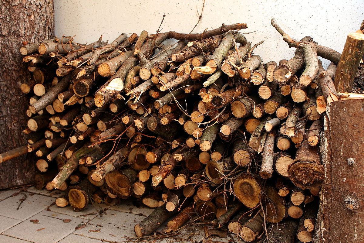 Seasoned Firewoods for Cozy Indoor & Outdoor Fires