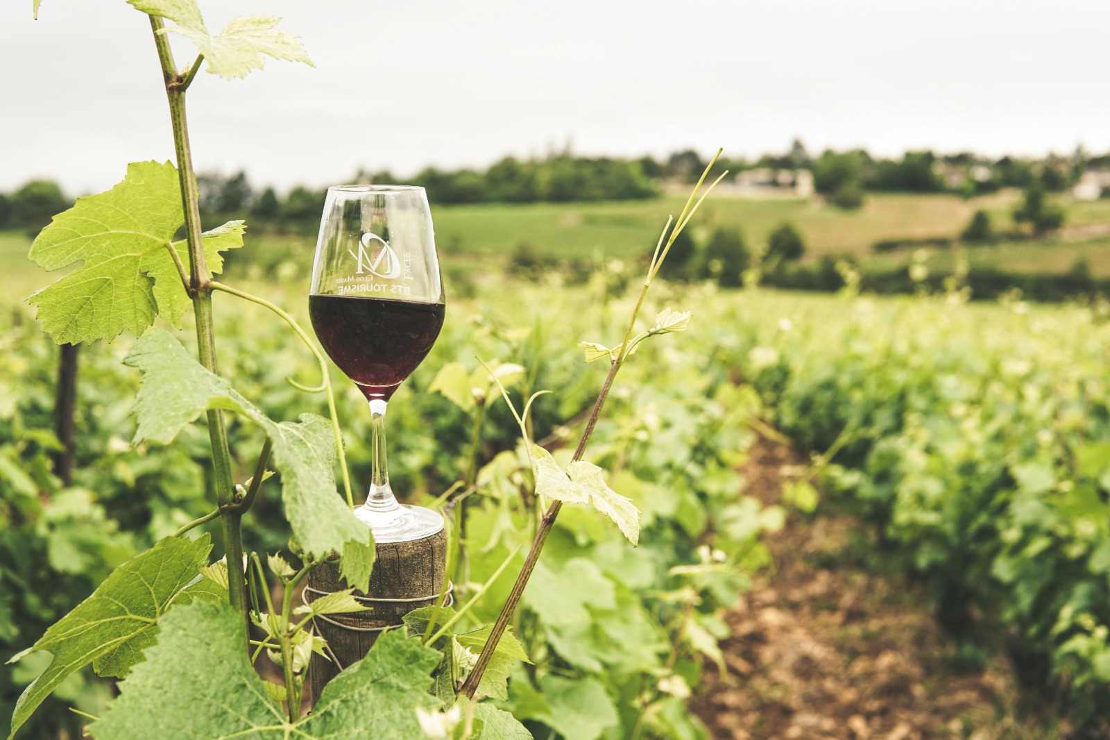 Winery Membership at Silt: Sip, Savor, and Save Big