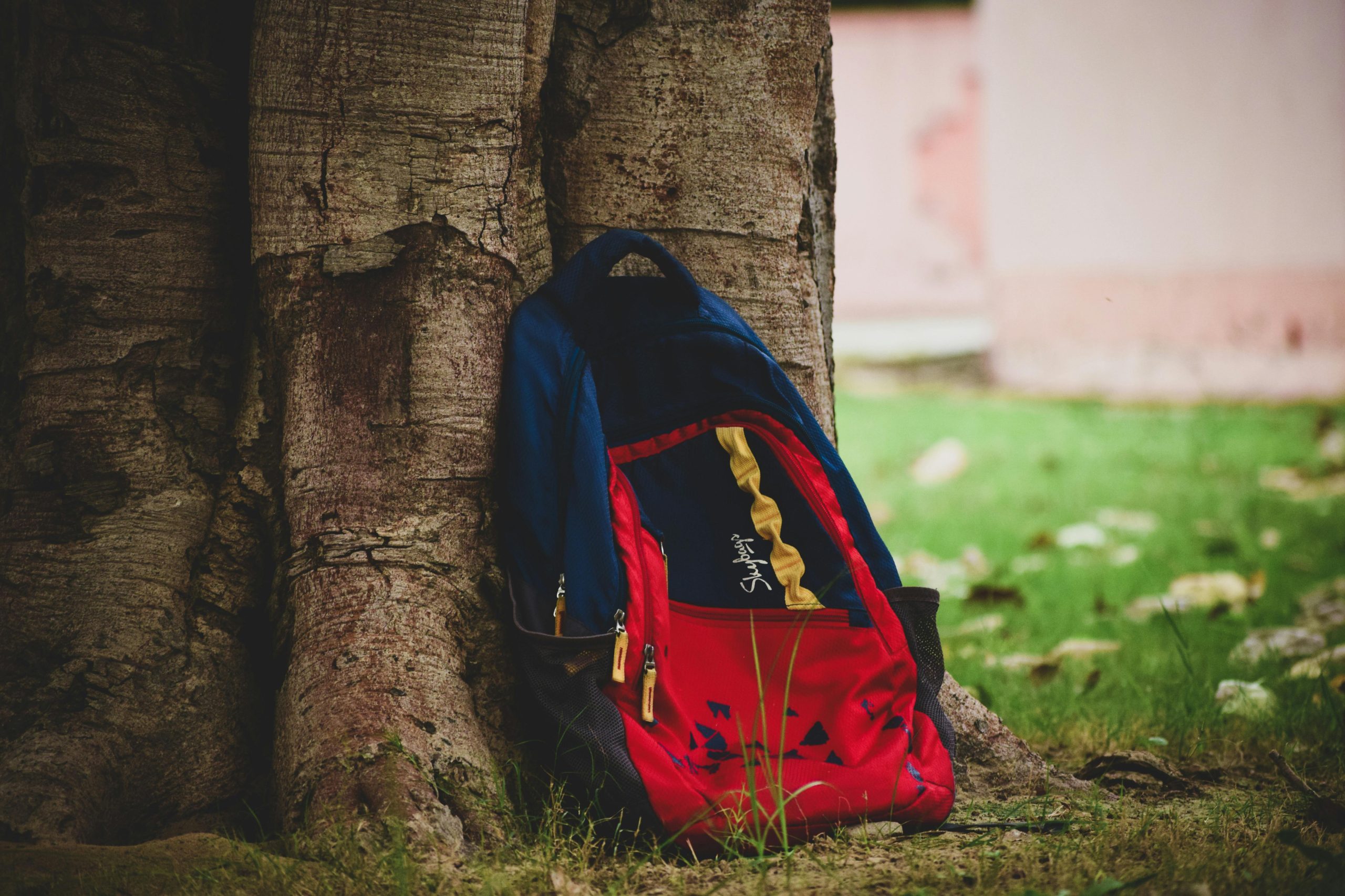 4 Options from the London Backpack Brand You Can’t Miss