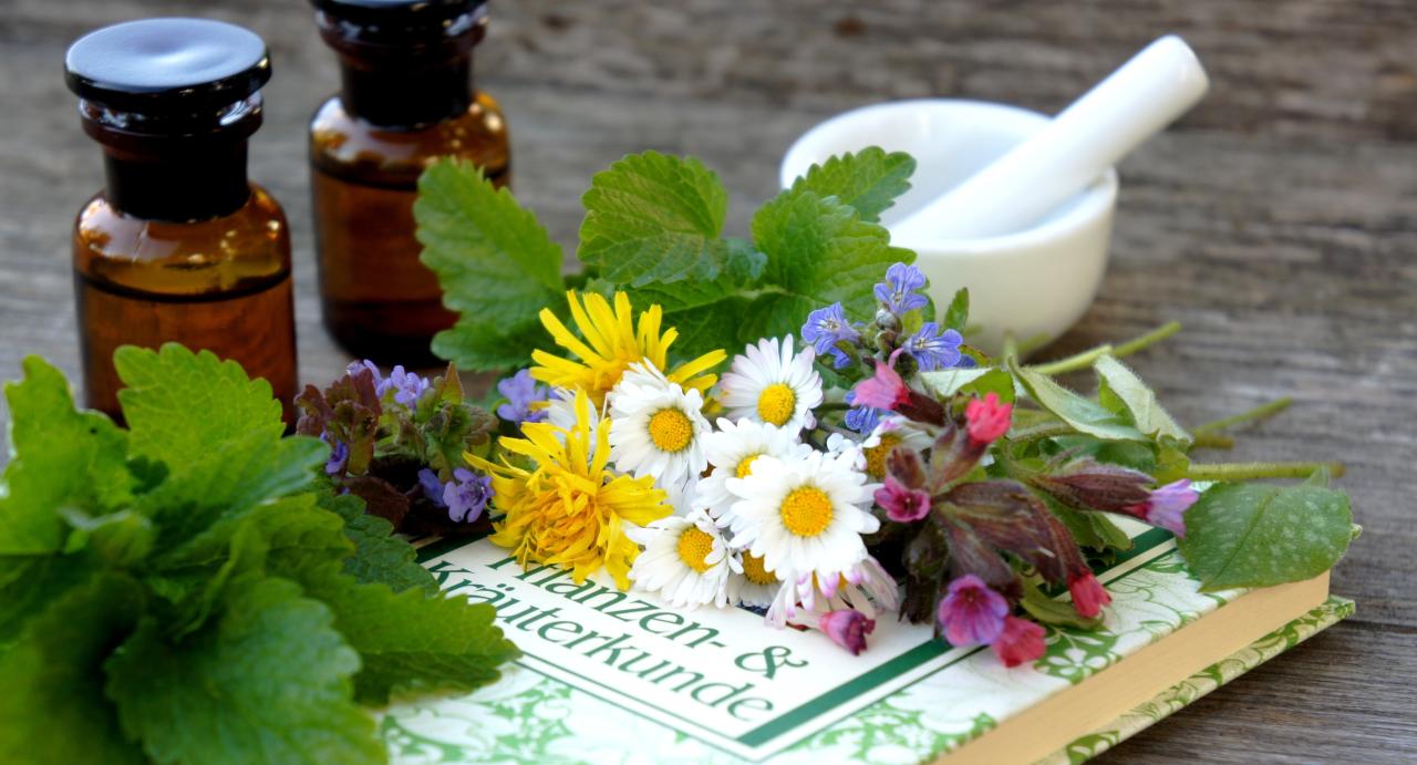 Bio Ashwagandha Tee kaufen bei Naturheiltee – Qualität