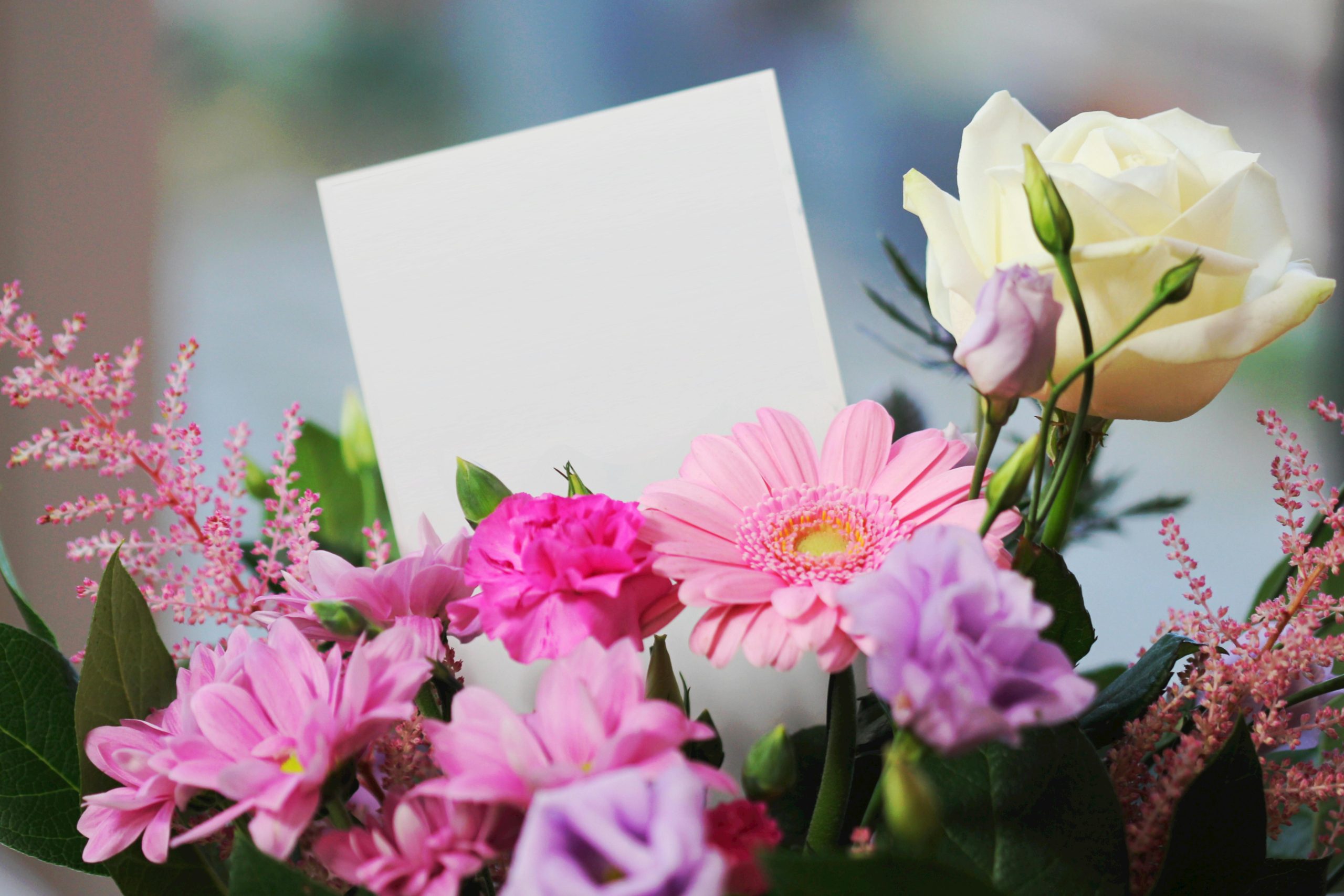 Discover 6 Inspiring YuccaFlowers Creations in Miami