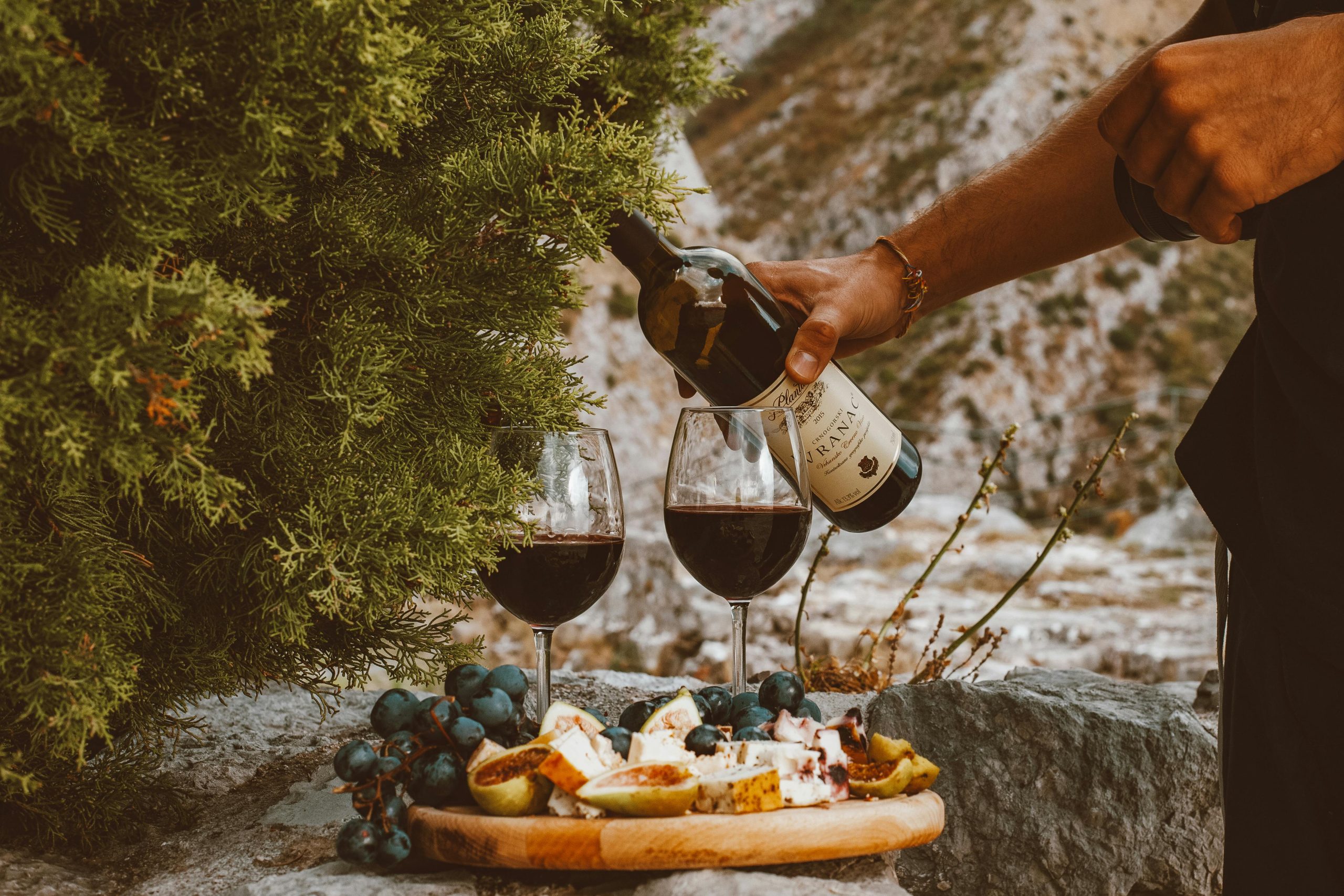 Clarksburg Wineries: 7 Best Spots for Wine Lovers