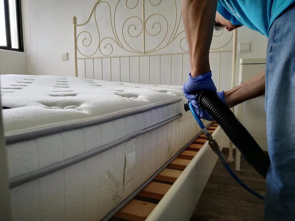Mattress Cleaning Dubai: 7 Proven Bed Bug Removal Steps