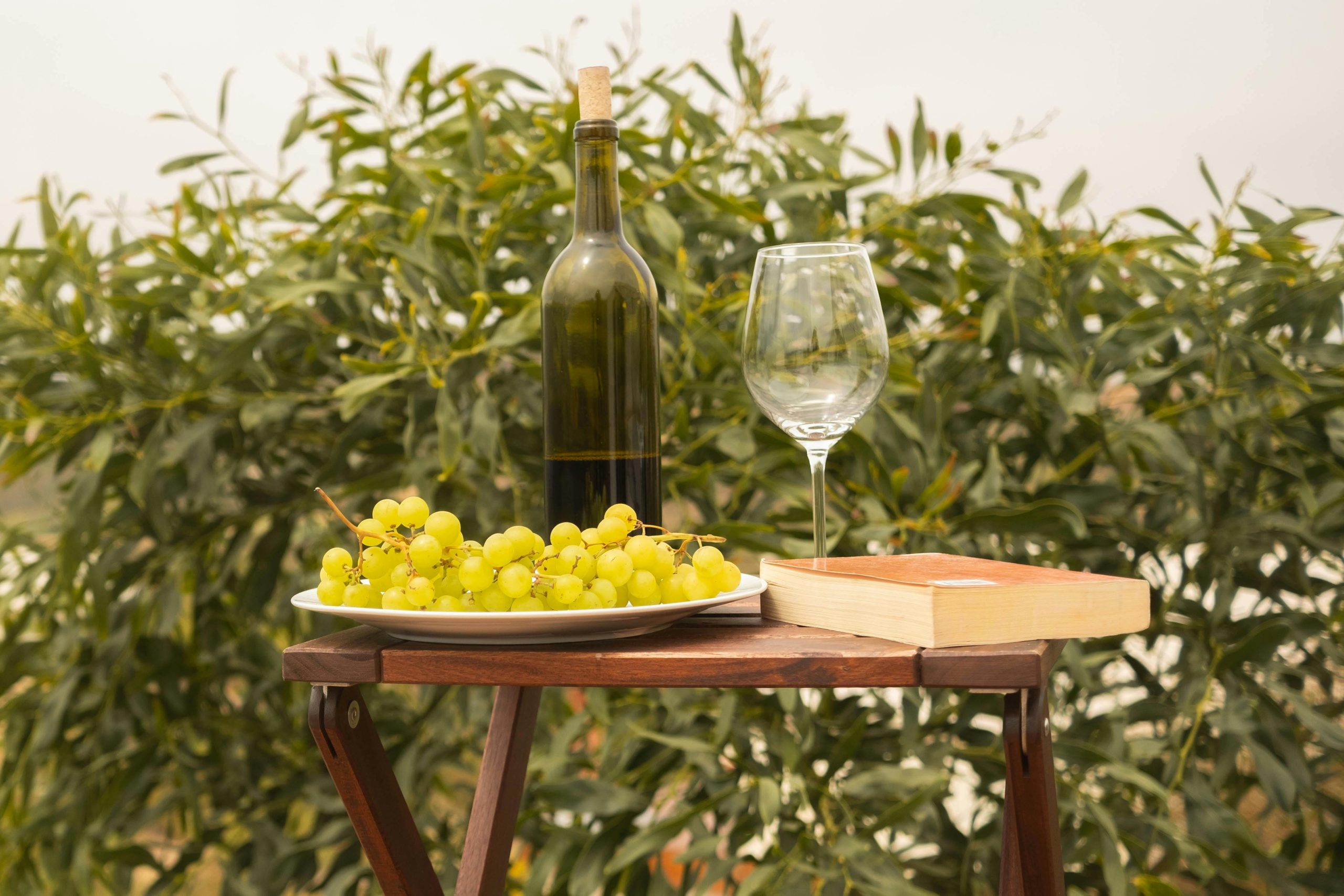 Winery Membership: 3 Perks of Joining Silt Wine Company